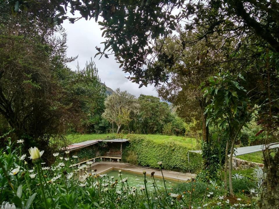 Villa Termas El Pantanal à Papallacta Extérieur photo